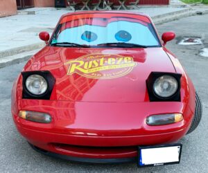 zaibo makvyno programa